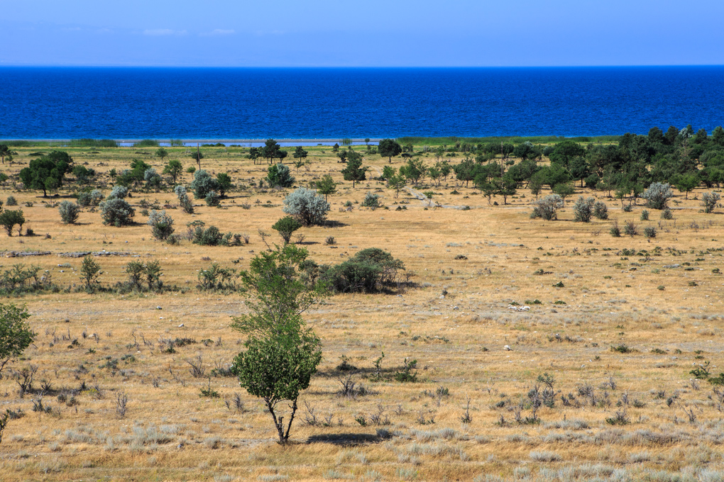 Sevan